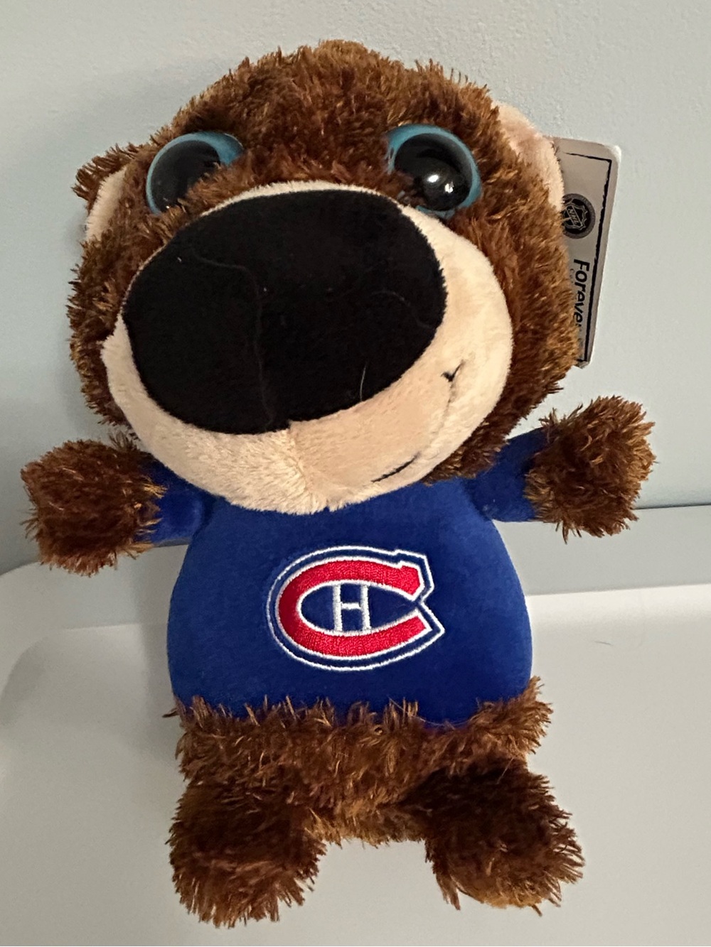 NHL Plush Bear in Blue with Brown Fur Trim
